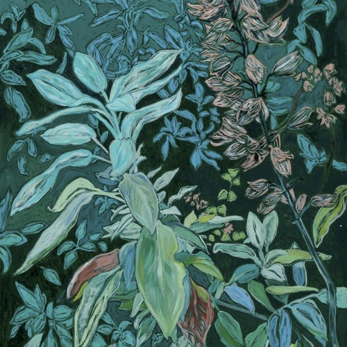 Sage Flowers, 2020, oil on linen, 50x70cm