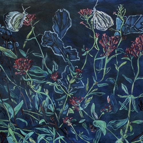 Valerian with Butterfiles, 2021, oil on linen, 70 x 90cm