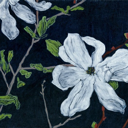Magnolia Flower, 2020, oil on linen, 30 x 40cm