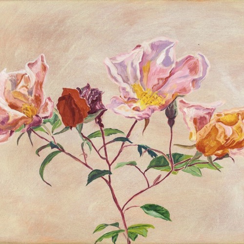 Wild Roses VI, 2021, oil on linen, 35 x 45cm