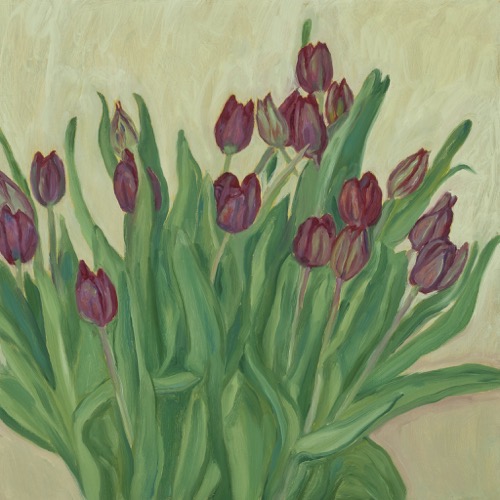 Deep Pink Tulips 2010, oil on board, 40 x 40cm