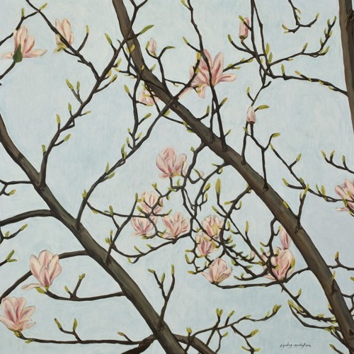 Magnolia against Blue Sky, 2009, oil on linen, 90 x 100cm